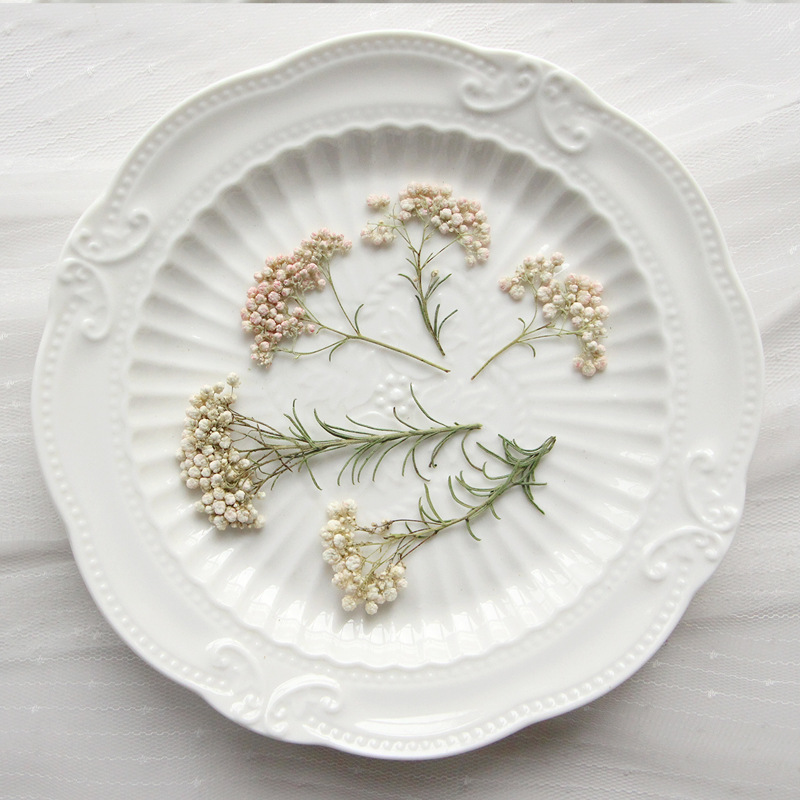 Dried Flower Pressed - 12 adet, Doğa Darı Çiçek Dalları,