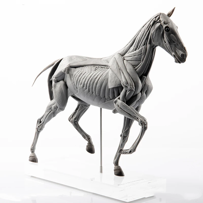 EVOLABORATORY At Kası Anatomis - Resin Art Decoration Items incelemesi ve fiyatı