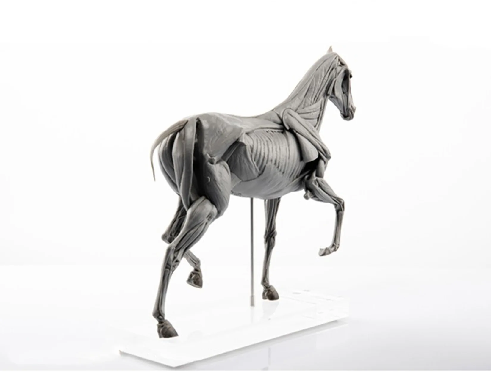 EVOLABORATORY At Kası Anatomis - Resin Art Decoration Items incelemesi ve fiyatı