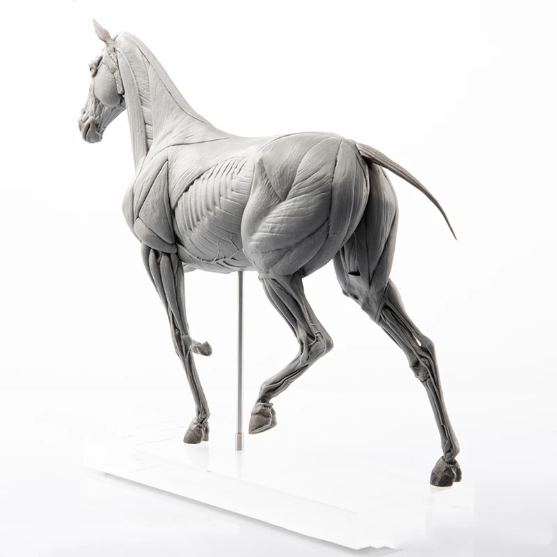 EVOLABORATORY At Kası Anatomis - Resin Art Decoration Items incelemesi ve fiyatı
