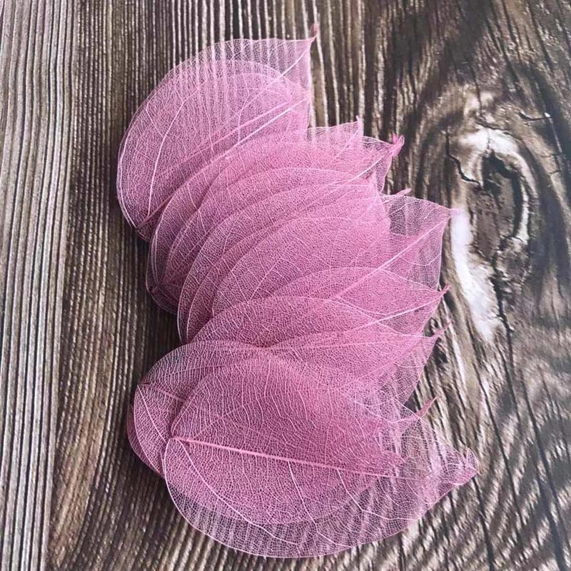 5 ~ 9 CM * 2 ~ 3.5 CM, 100 ADE - Dried Flower Pressed incelemesi ve fiyatı