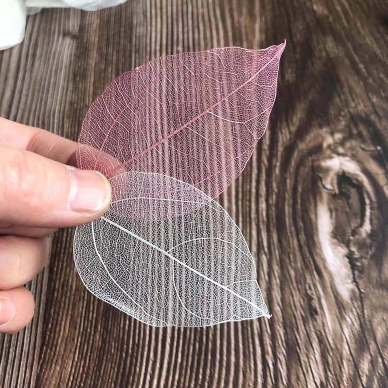 5 ~ 9 CM * 2 ~ 3.5 CM, 100 ADE - Dried Flower Pressed incelemesi ve fiyatı